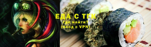 индика Инта