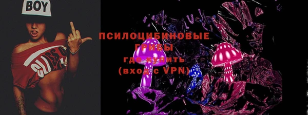 индика Инта