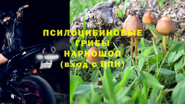 индика Инта