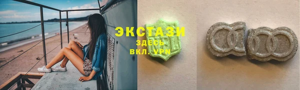 индика Инта