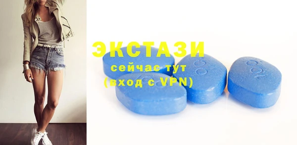 индика Инта