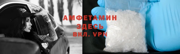 индика Инта