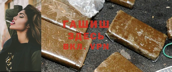 индика Инта