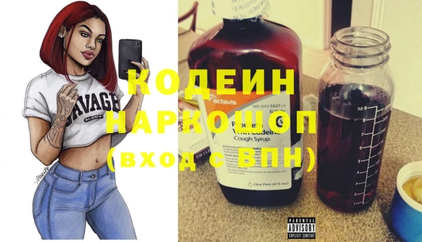 индика Инта