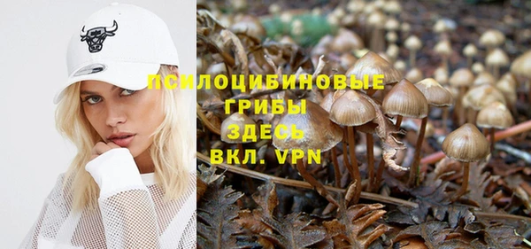 индика Инта