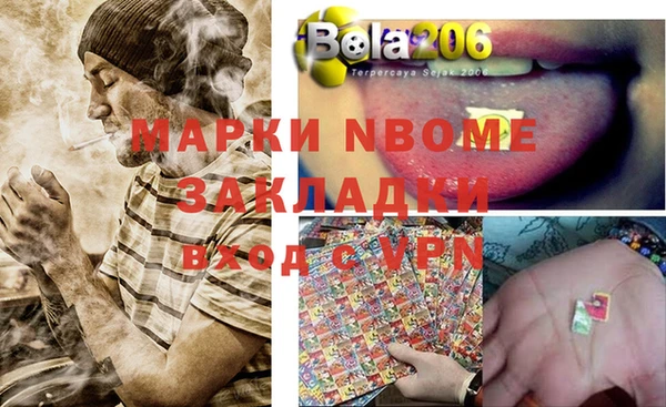 индика Инта