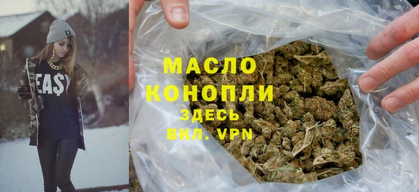 индика Инта