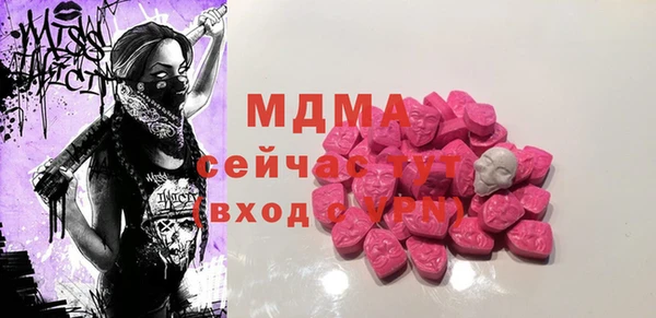 индика Инта