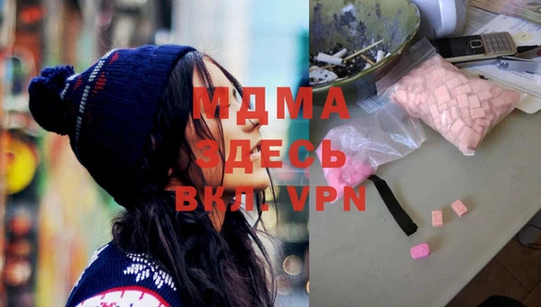 индика Инта