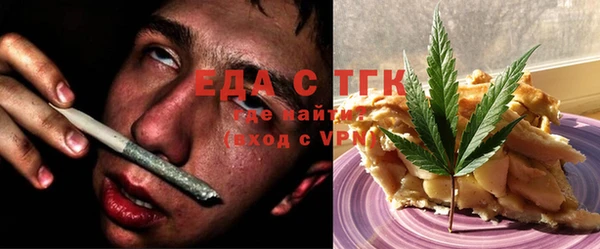 индика Инта