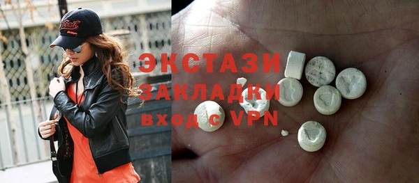 индика Инта