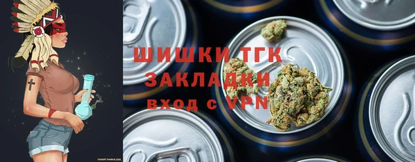 ешки Инсар