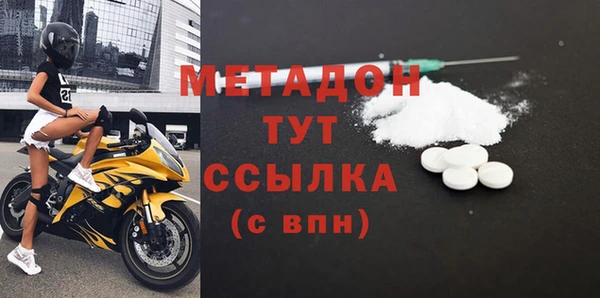 индика Инта