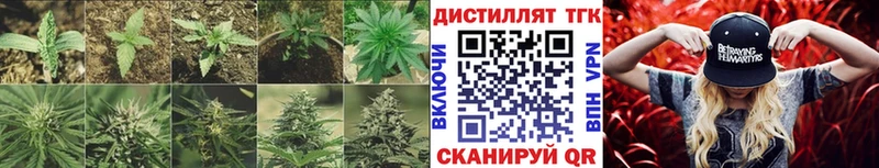 ТГК THC oil  Купить закладки  Павловская 